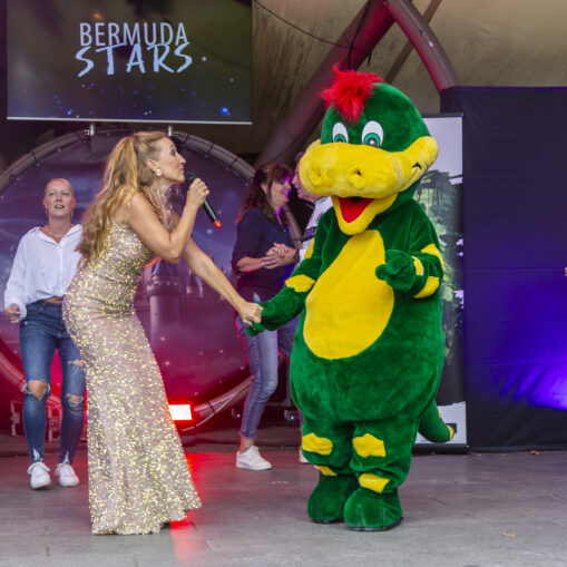 BermudaStars_2026_366