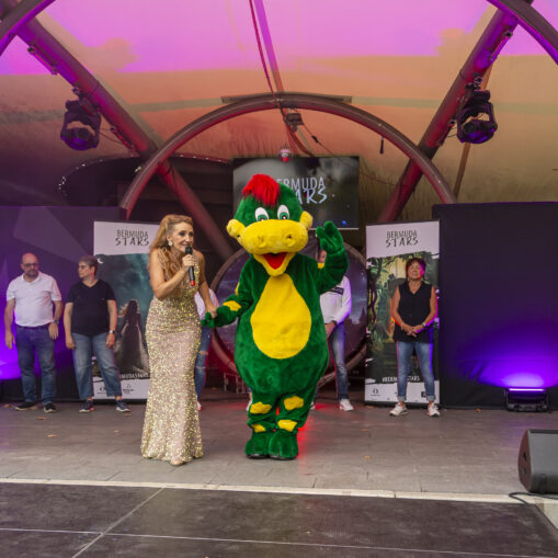 BermudaStars_2026_382
